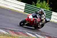 cadwell-no-limits-trackday;cadwell-park;cadwell-park-photographs;cadwell-trackday-photographs;enduro-digital-images;event-digital-images;eventdigitalimages;no-limits-trackdays;peter-wileman-photography;racing-digital-images;trackday-digital-images;trackday-photos